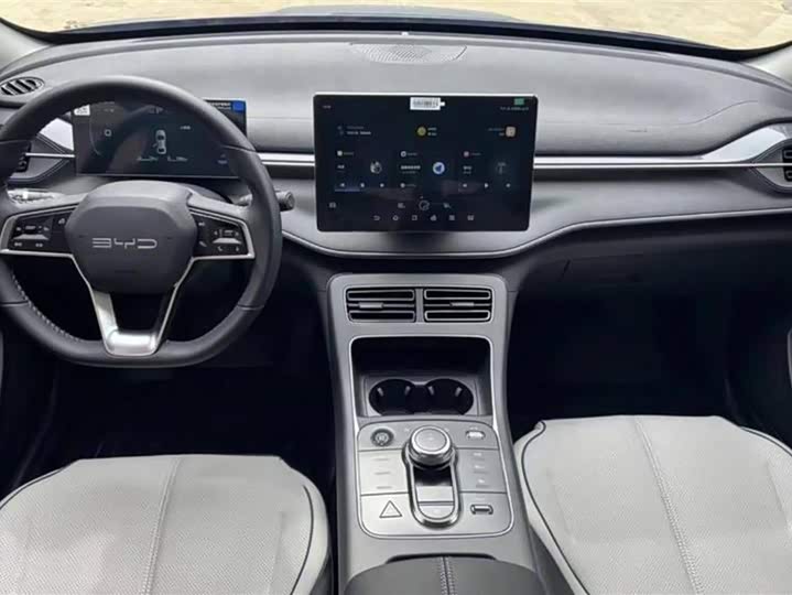 Фото 9 - BYD Destroyer 05