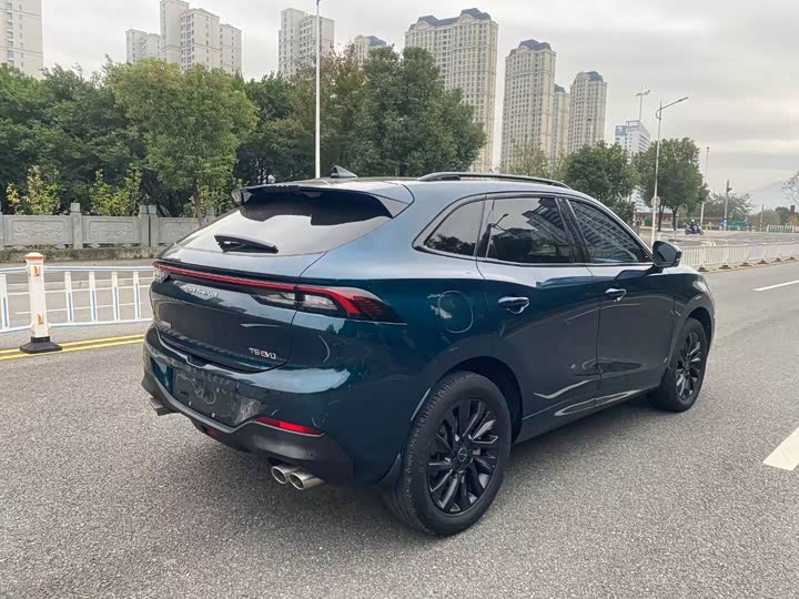 Фото 8 - Dongfeng Forthing T5 EVO