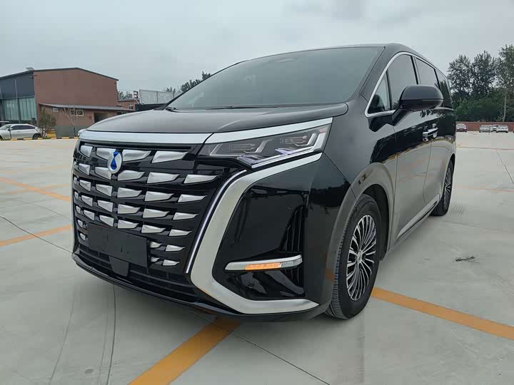 Фото 1 - Denza D9