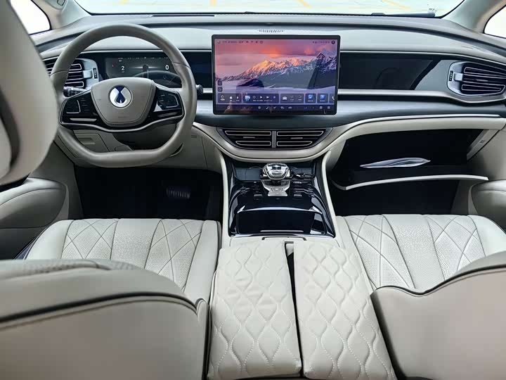 Фото 11 - Denza D9