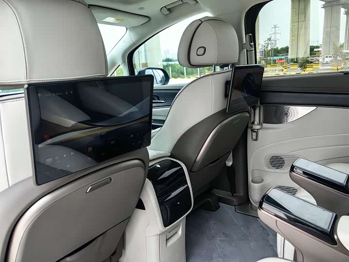 Фото 12 - Denza D9