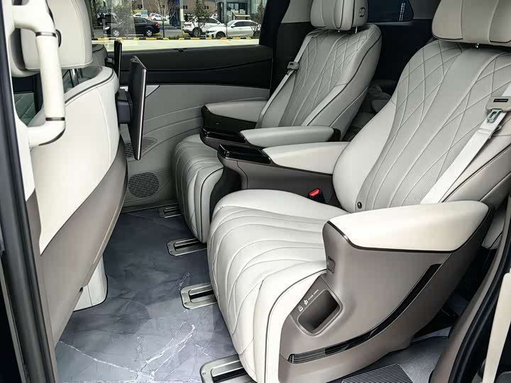 Фото 13 - Denza D9