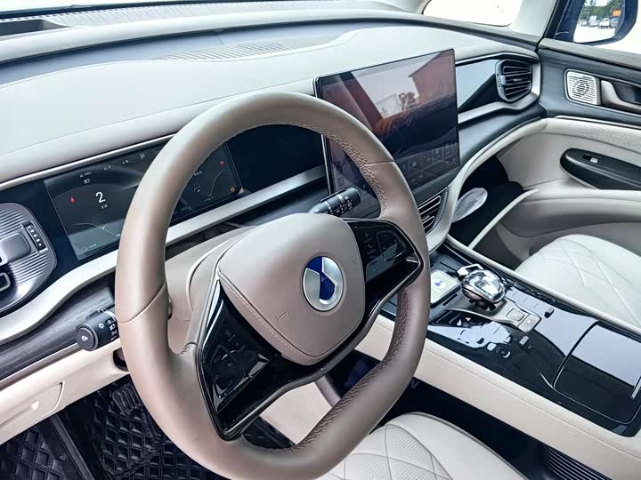 Фото 15 - Denza D9