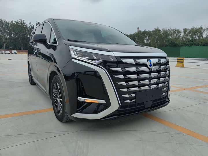 Фото 2 - Denza D9