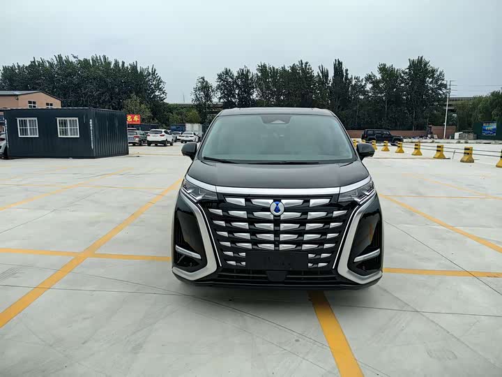 Фото 20 - Denza D9