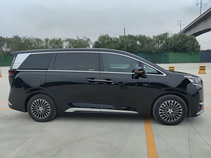 Фото 3 - Denza D9