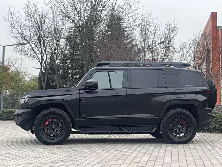 Фото 14 - Dongfeng Mengshi M-Hero 917