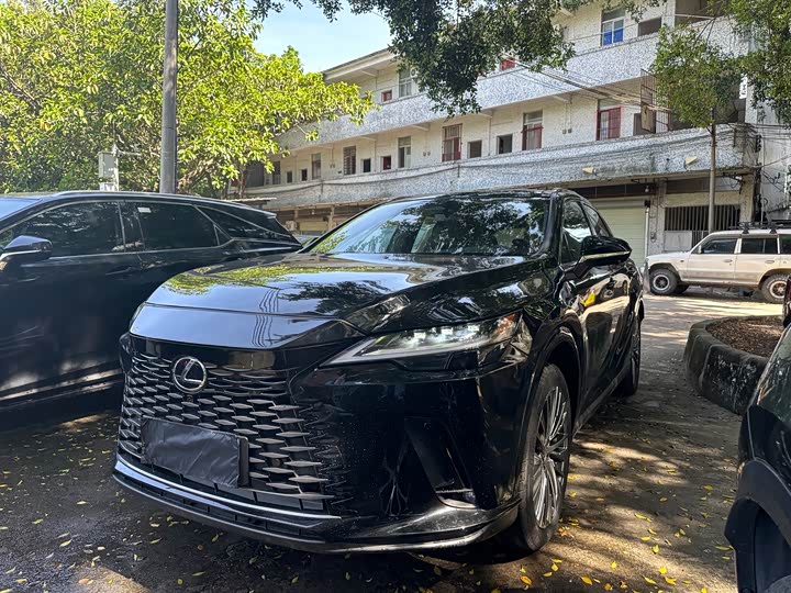 Фото 2 - Lexus RX