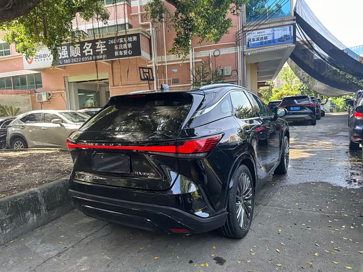 Фото 9 - Lexus RX
