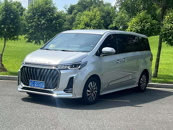 Фото 1 - Maxus G20