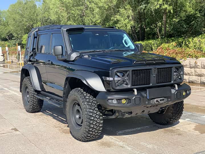 Фото 3 - Tank 300