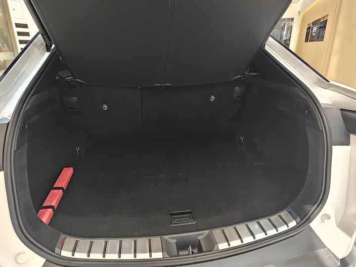 Фото 11 - Lexus RZ