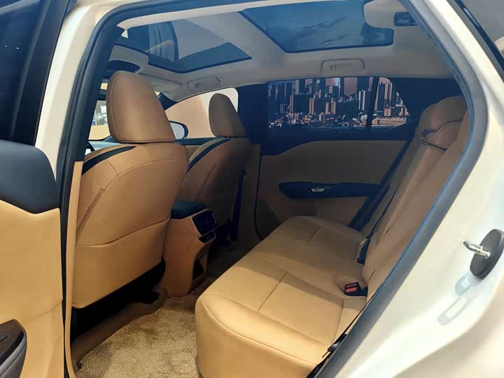 Фото 9 - Lexus RZ