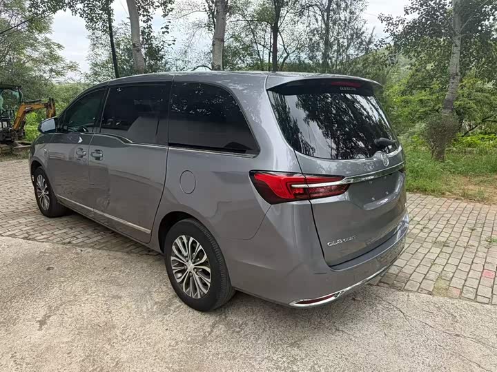 Фото 5 - Buick GL8 ES