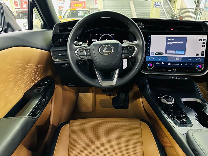 Фото 10 - Lexus RZ