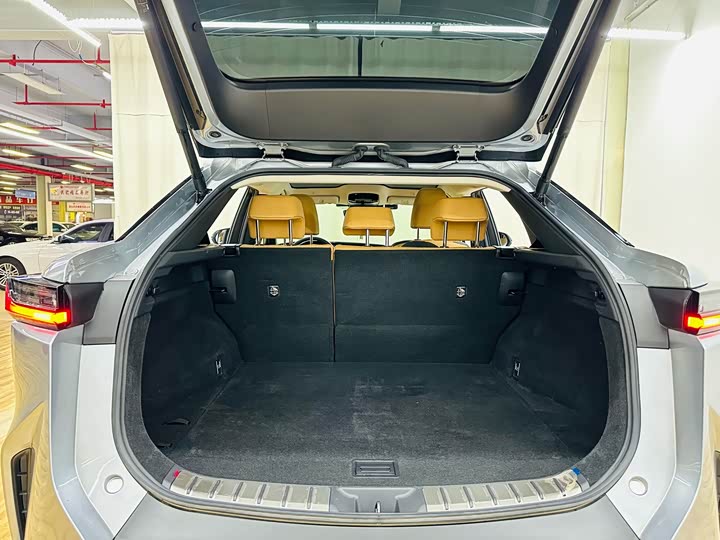 Фото 13 - Lexus RZ