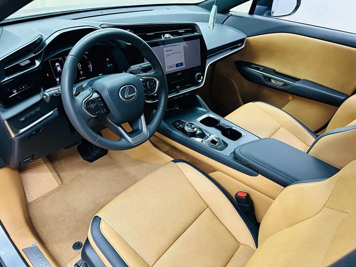 Фото 14 - Lexus RZ