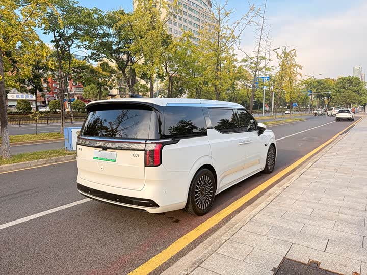 Фото 4 - Zeekr 009