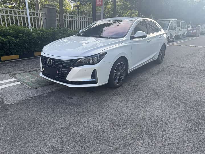 Фото 1 - Changan Raeton CC