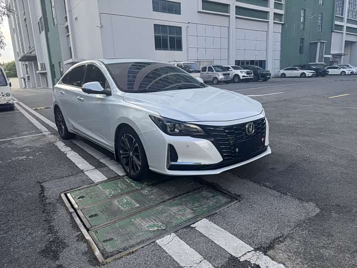 Фото 3 - Changan Raeton CC