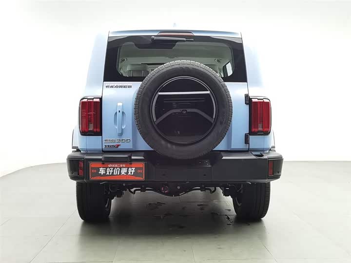 Фото 4 - Tank 300 Hybrid