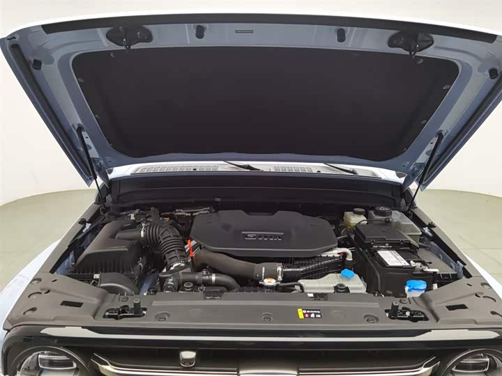 Фото 6 - Tank 300 Hybrid