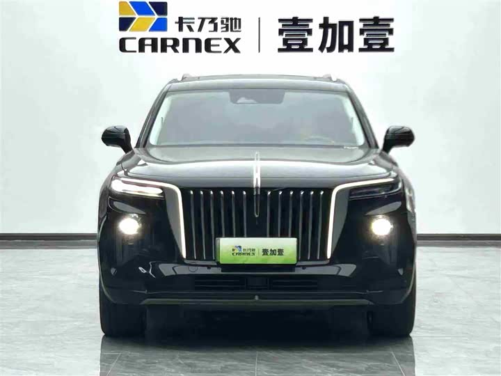 Фото 2 - Hongqi E-HS9