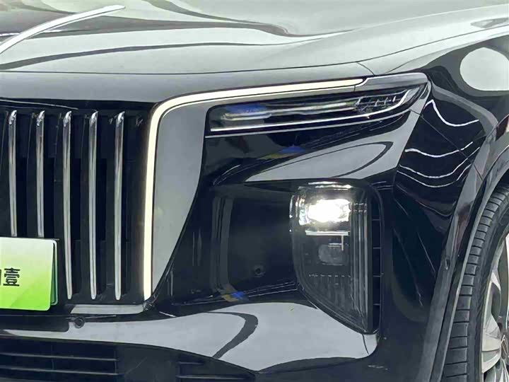 Фото 3 - Hongqi E-HS9