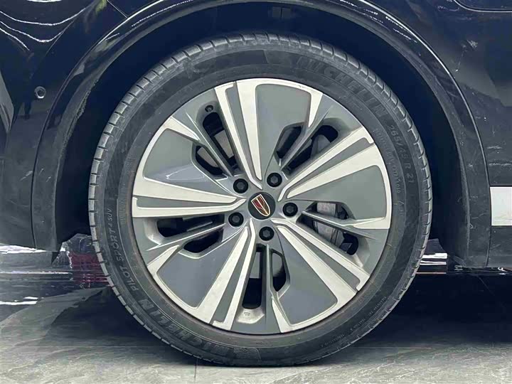 Фото 4 - Hongqi E-HS9