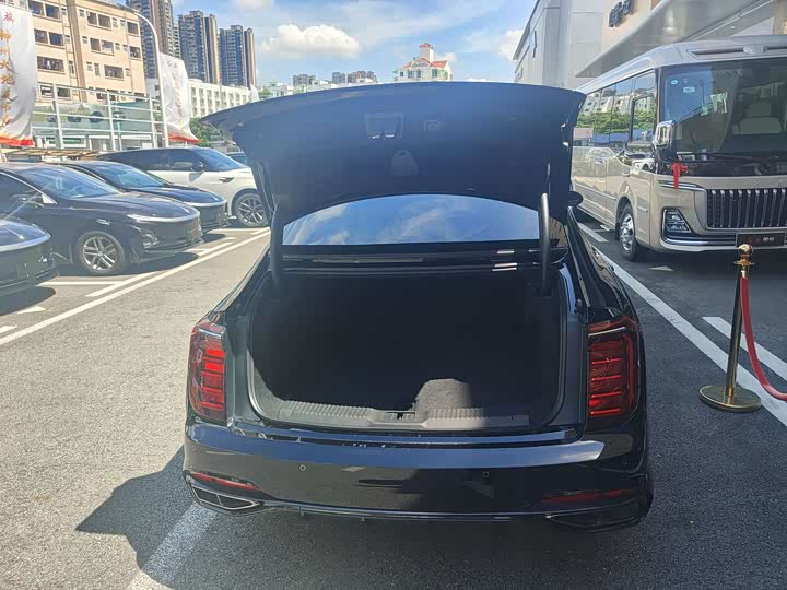 Фото 10 - Hongqi H9