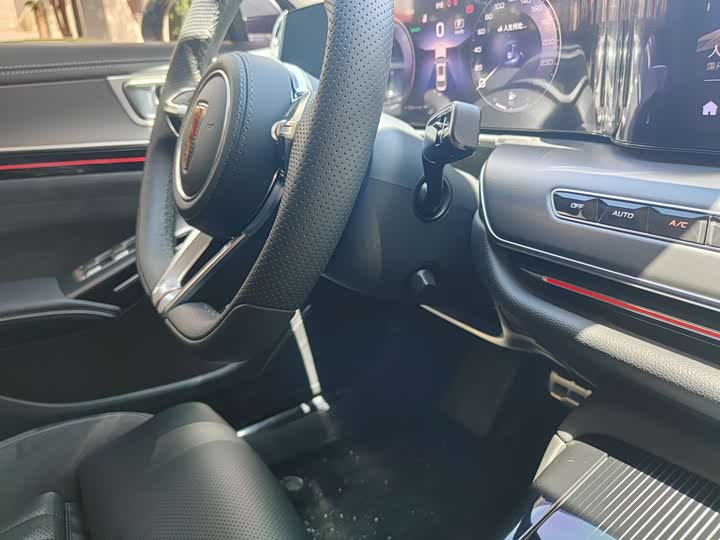 Фото 19 - Hongqi H9