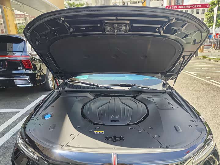 Фото 22 - Hongqi H9