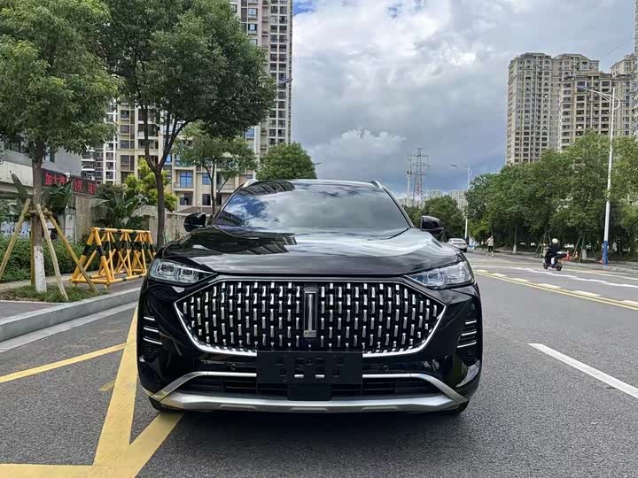 Фото 2 - Wey Mocca Hybrid