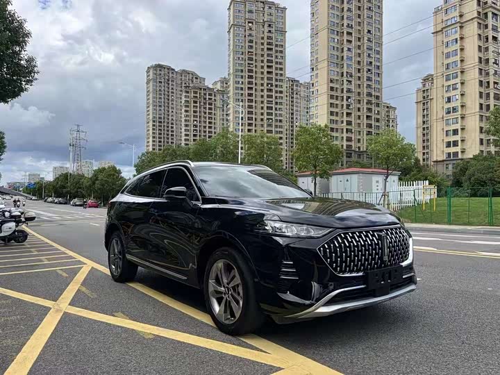 Фото 3 - Wey Mocca Hybrid