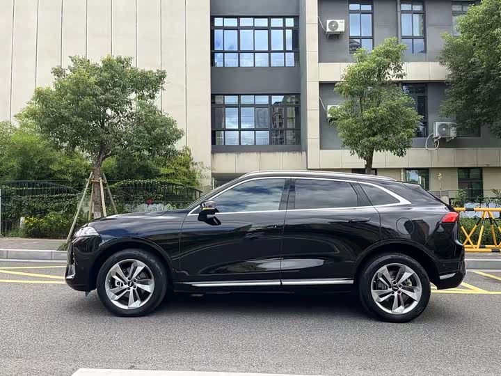 Фото 4 - Wey Mocca Hybrid