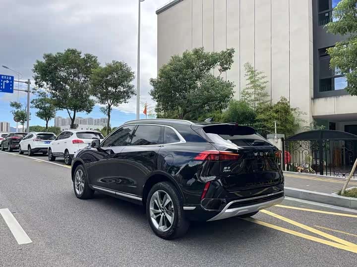 Фото 5 - Wey Mocca Hybrid