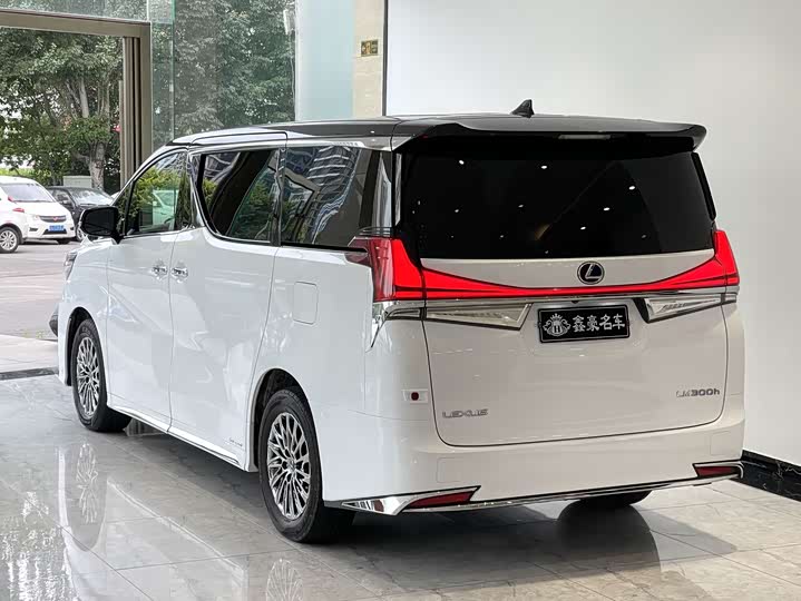 Фото 24 - Lexus LM