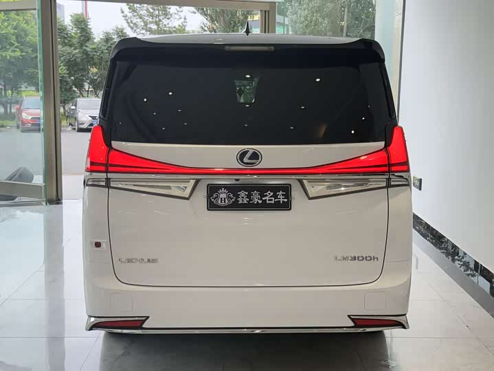 Фото 25 - Lexus LM