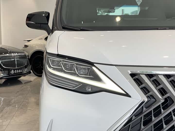 Фото 3 - Lexus LM