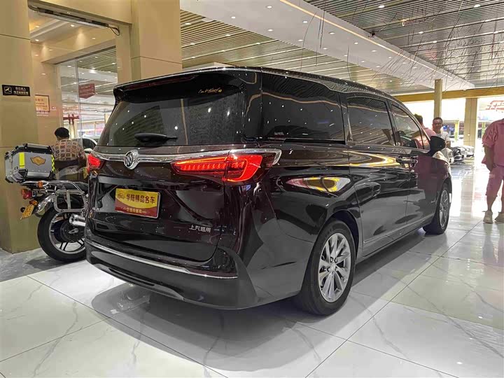 Фото 6 - Buick GL8 ES