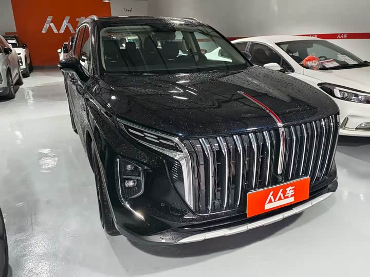 Фото 3 - Hongqi HS7 Hybrid