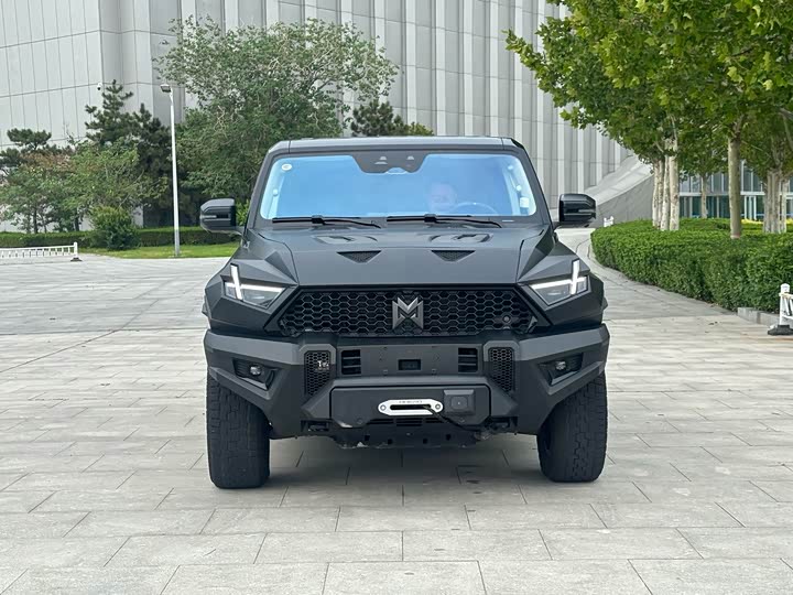 Фото 2 - Dongfeng Mengshi M-Hero 917