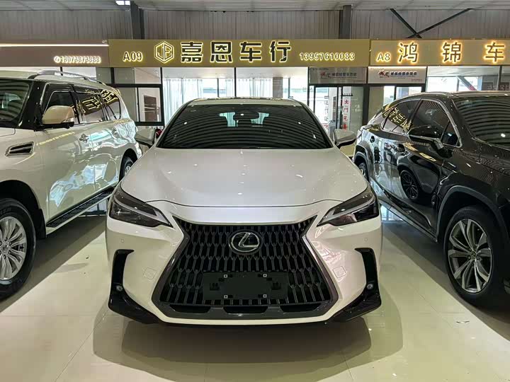 Фото 2 - Lexus NX