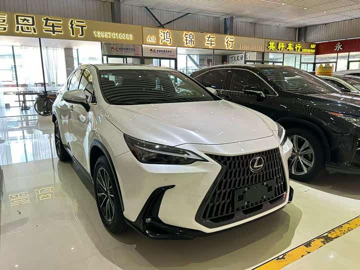 Фото 3 - Lexus NX