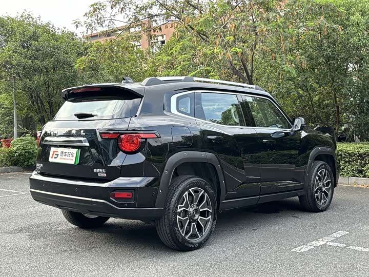 Фото 24 - Haval H-Dog Hybrid