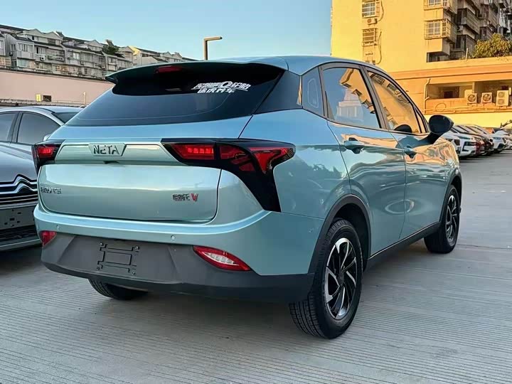 Фото 10 - Hozon V