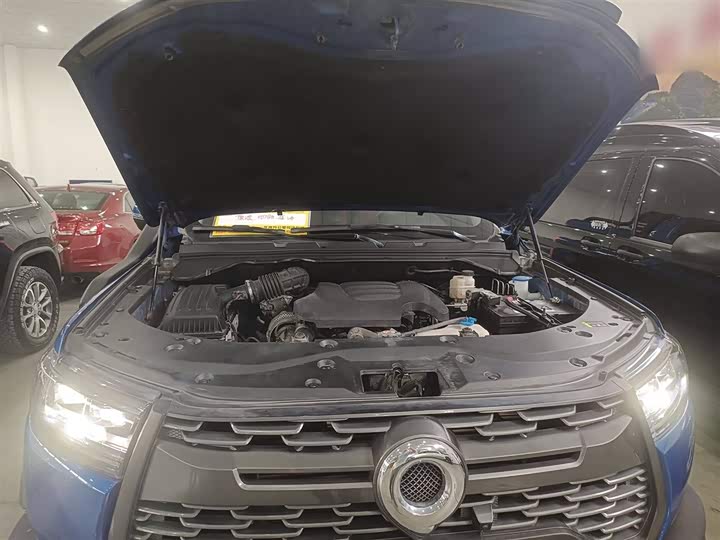 Фото 20 - Great Wall Pao