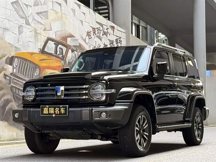 Фото 1 - Tank 300