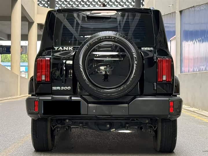 Фото 4 - Tank 300