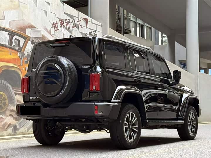 Фото 5 - Tank 300